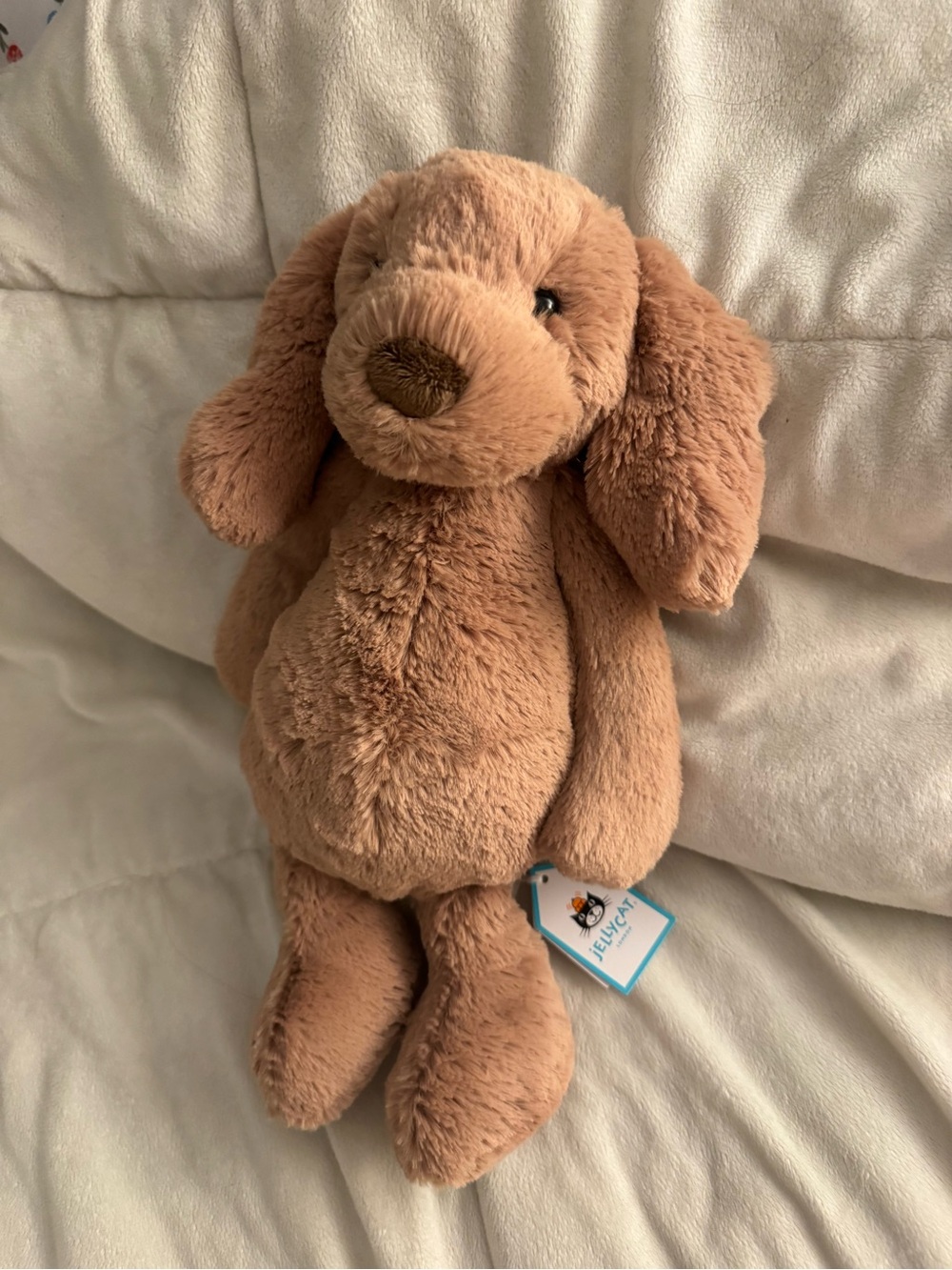 Bashful toffee puppy jellycat new with tags